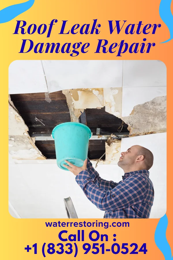 Roof Leak Water Damage Repair in Kaufman, TX